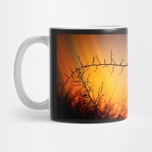 Wild dog rose in winter Mug